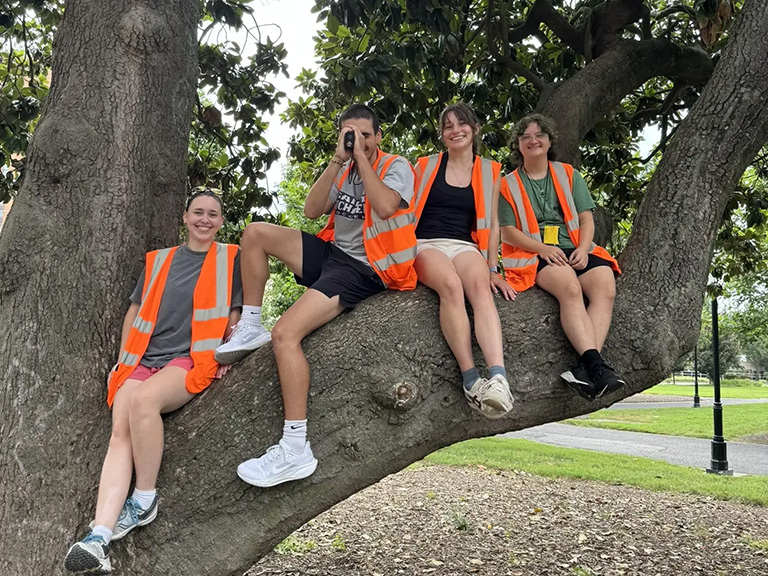 A photo of four students sitting on a tree branch.