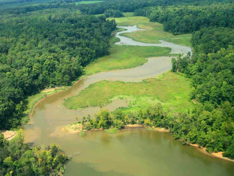 a meandering waterway flanked by verdant woodlands